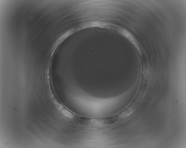 X0000068810954200605081116