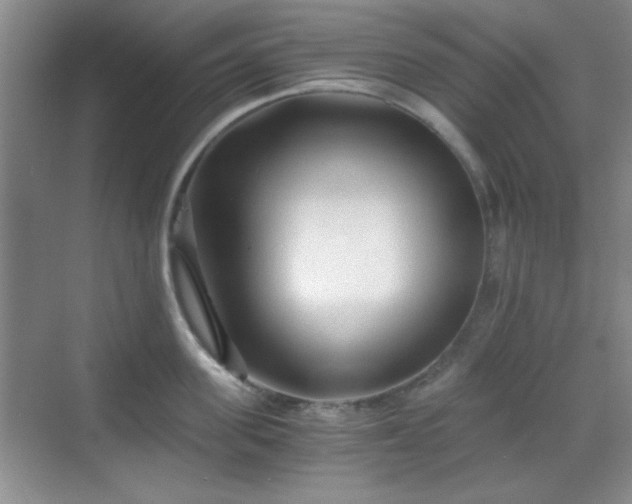 X0000068810955200605081116