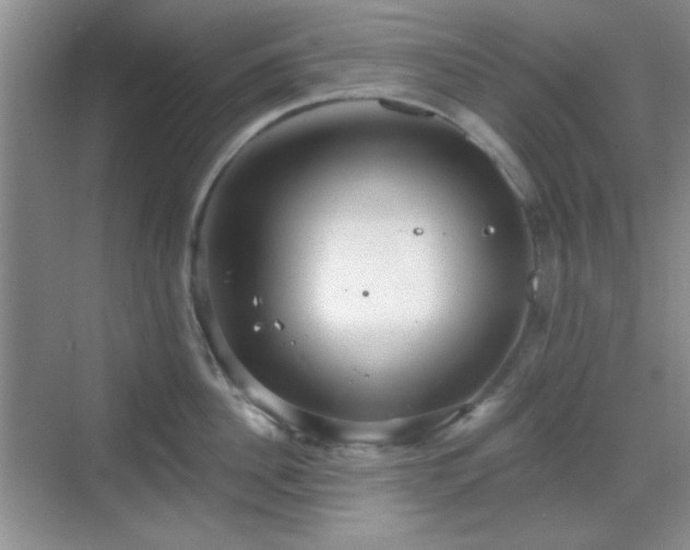 X0000068810956200605081116