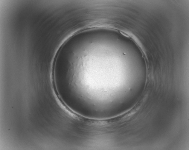 X0000068810957200605081116