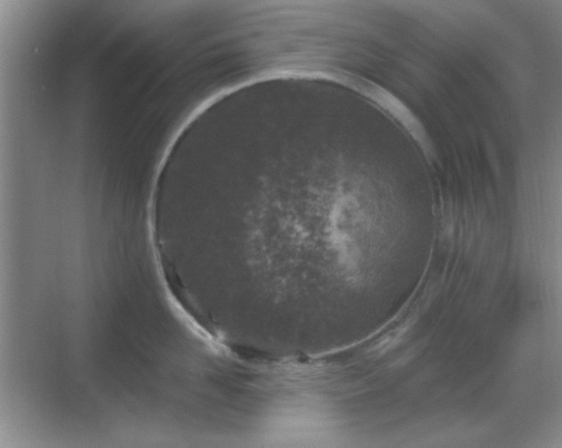 X0000068810958200605081116