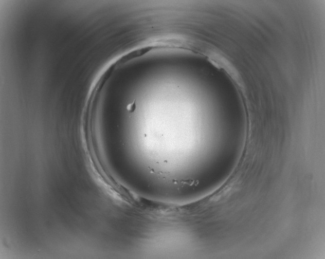 X0000068810960200605081116