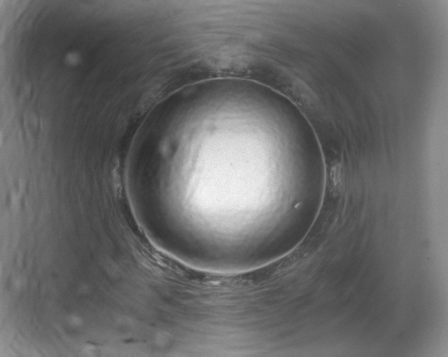 X0000068810963200605081115