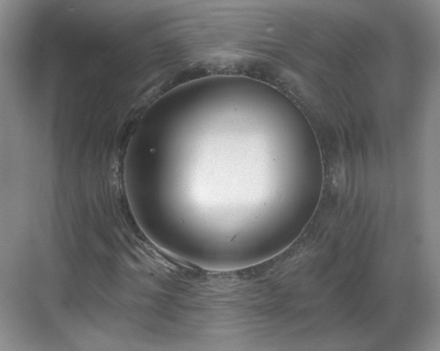 X0000068810964200605081115