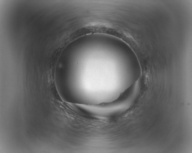 X0000068810965200605081115