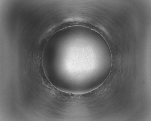 X0000068810967200605081115