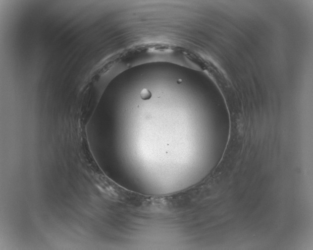 X0000068810968200605081115