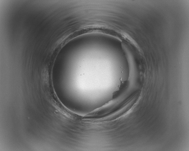 X0000068810969200605081115