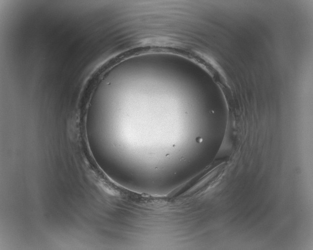 X0000068810971200605081115