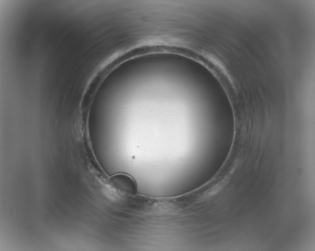 X0000068810974200605081115