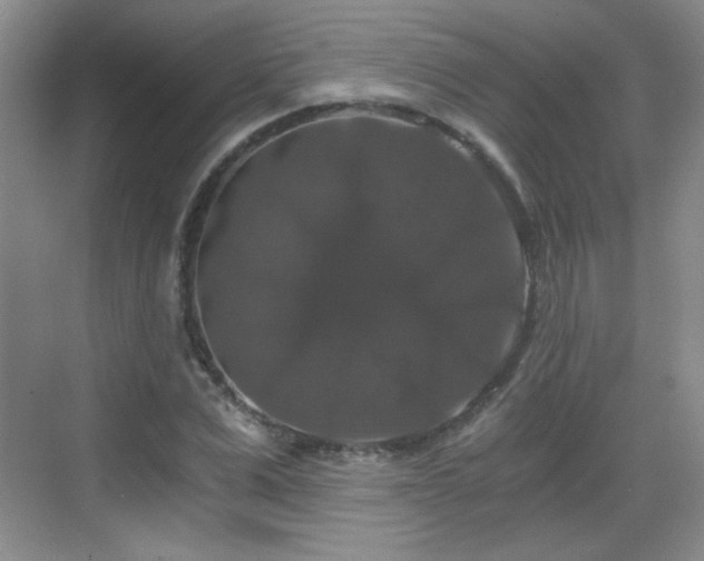 X0000068810975200605081115