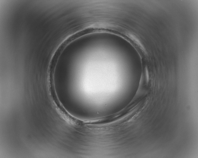 X0000068810976200605081115