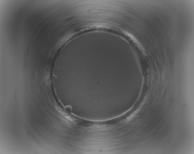 X0000068810977200605081115