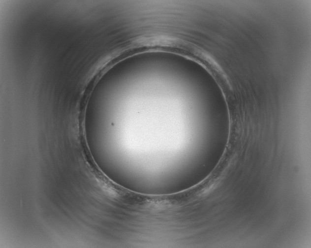 X0000068810978200605081115