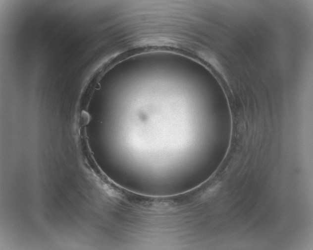 X0000068810979200605081115