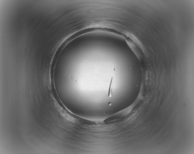 X0000068810980200605081115