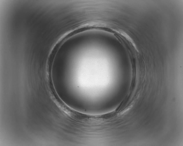 X0000068810981200605081115