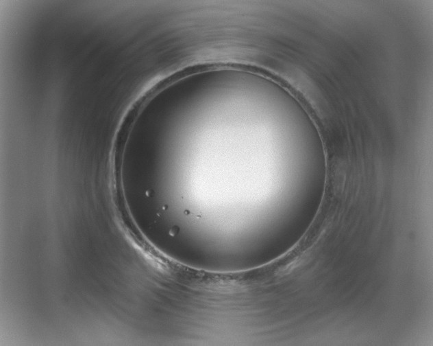 X0000068810982200605081115