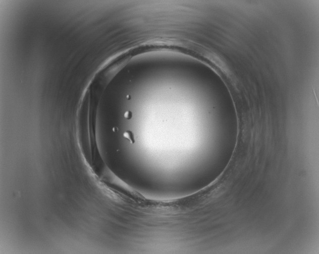 X0000068810984200605081115