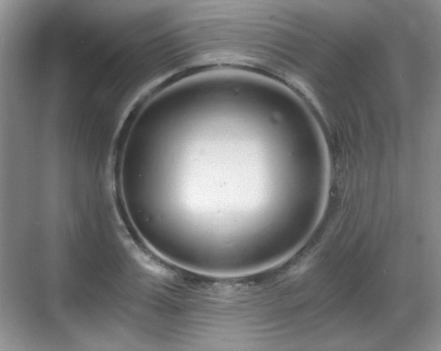 X0000068810987200605081115