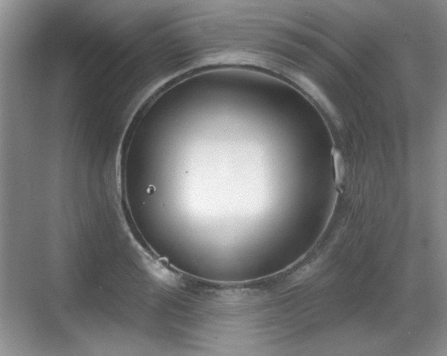 X0000068810988200605081115