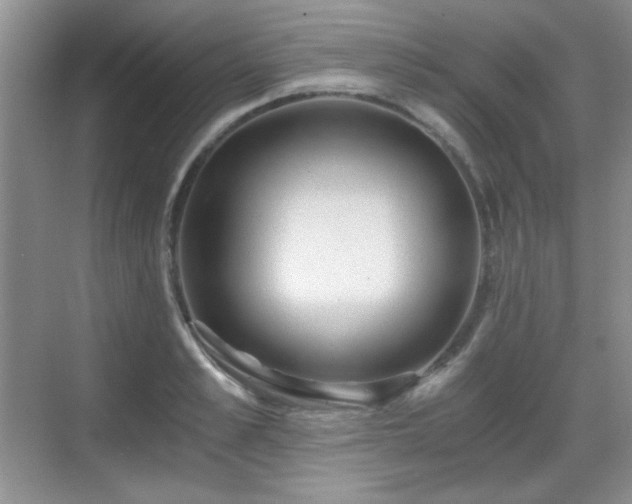 X0000068810989200605081115