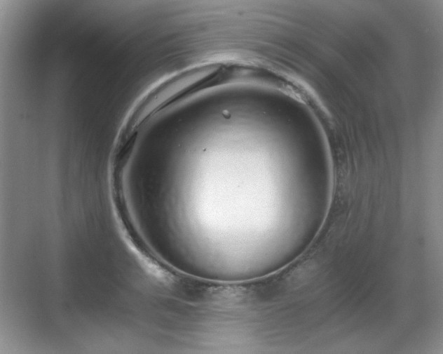 X0000068810991200605081115