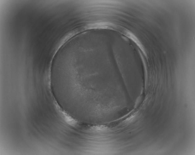 X0000068810994200605081115