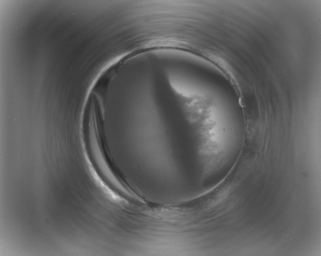 X0000068810995200605081115