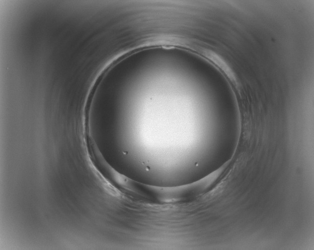 X0000068810996200605081115