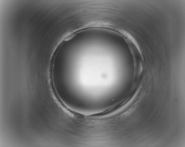 X0000068810997200605081115