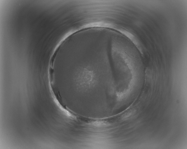 X0000068810998200605081115