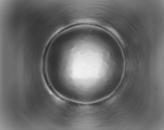 X0000068810999200605081115