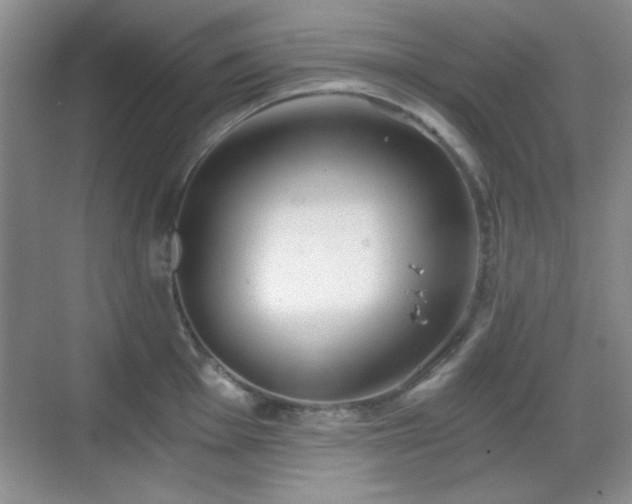 X0000068811001200605081115