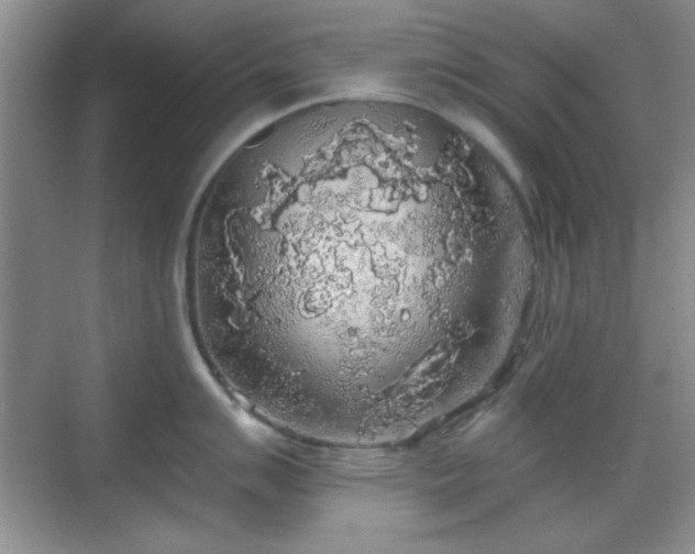 X0000068811007200605081114