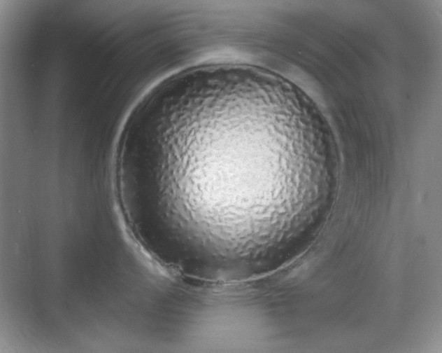 X0000068811008200605081114