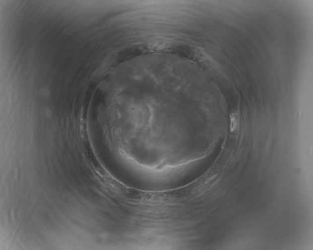 X0000068811011200605081114