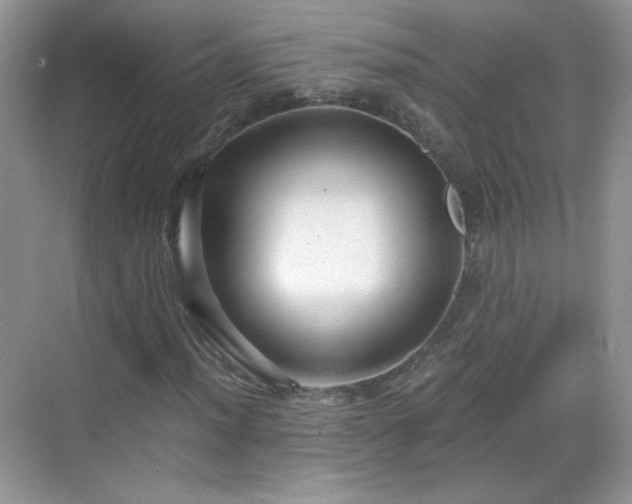 X0000068811012200605081114