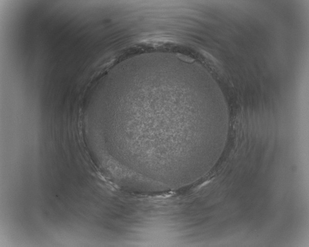 X0000068811014200605081114