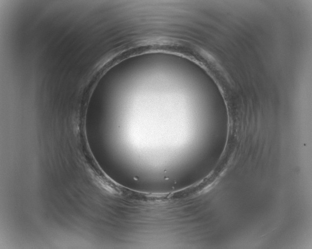 X0000068811017200605081114