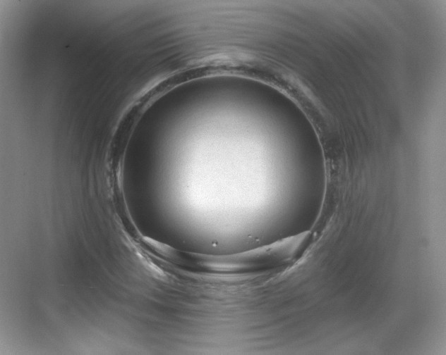 X0000068811018200605081114