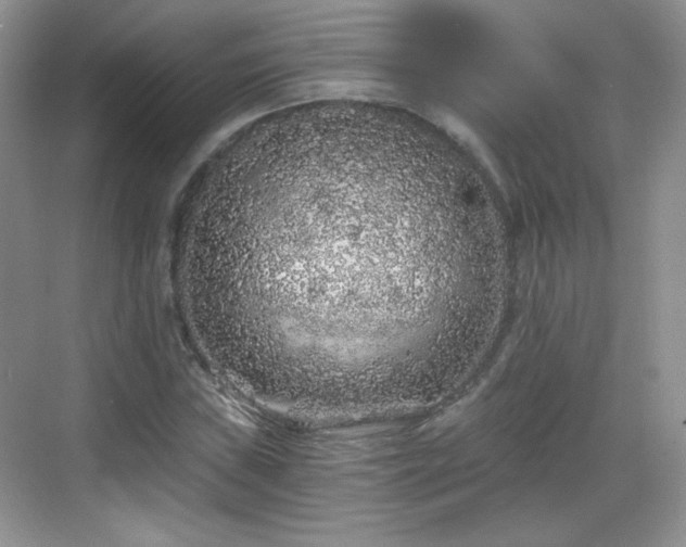 X0000068811019200605081114