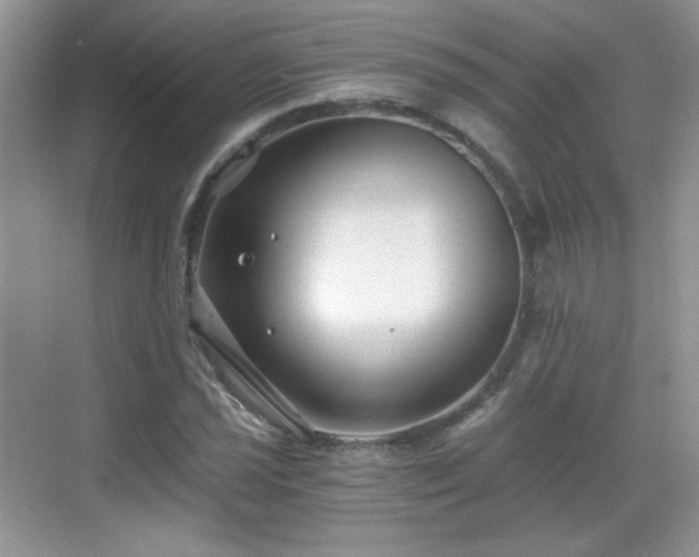 X0000068811021200605081114