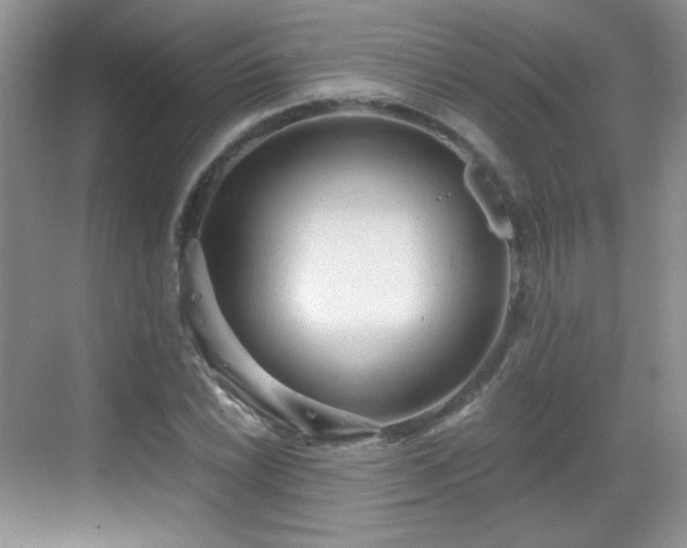 X0000068811022200605081114