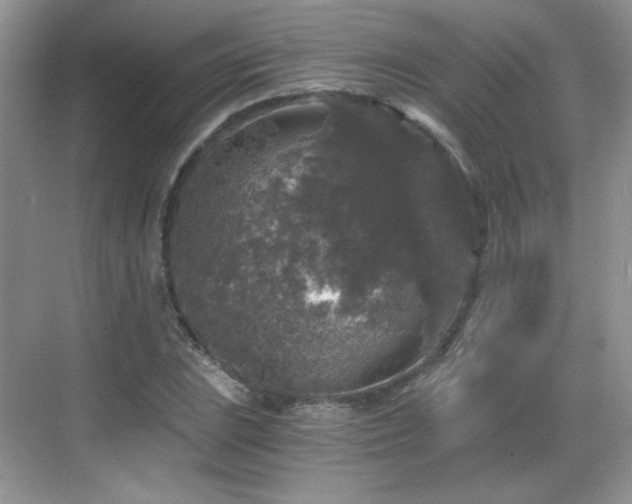 X0000068811023200605081114