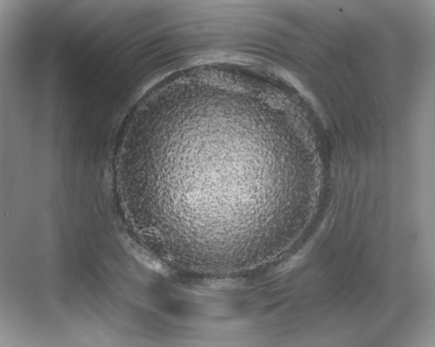 X0000068811025200605081114