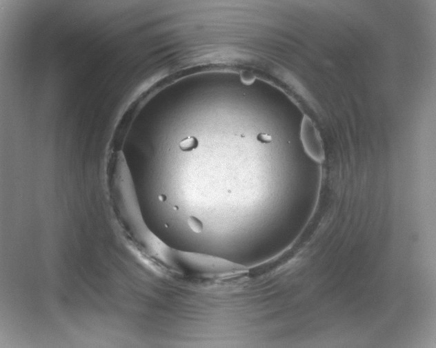 X0000068811026200605081114