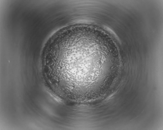 X0000068811027200605081114