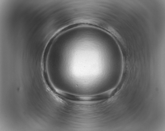 X0000068811028200605081114