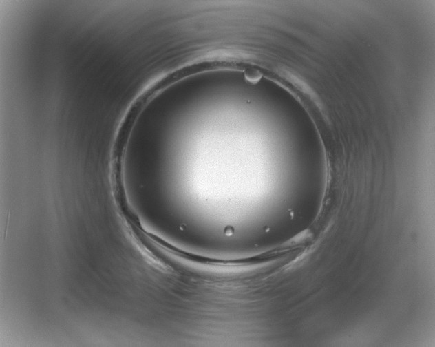 X0000068811029200605081114